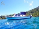 Uporabniški avatar